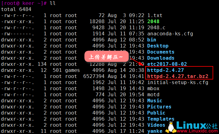 centos7 安装etcd单机版_centos_03