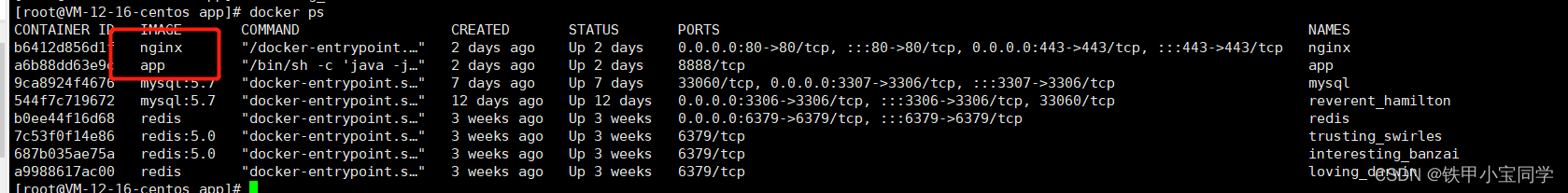 docker etcd 三节点 挂了一个节点 重新加回_学习_08