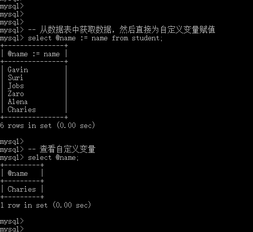 mysql 表变量 使用_赋值_07