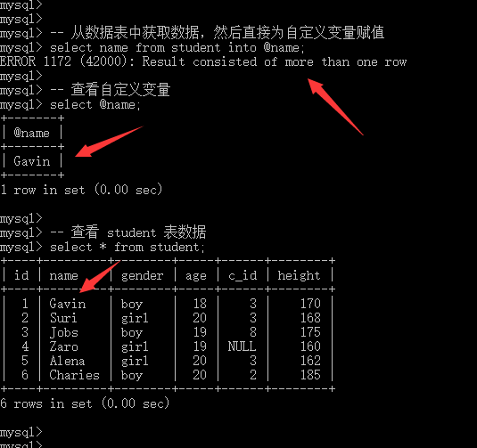 mysql 表变量 使用_自定义_08