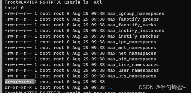 有不用wsl2的Docker版本吗_容器_15