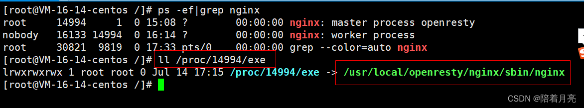 NGINX 配置80多个前端_服务器_10