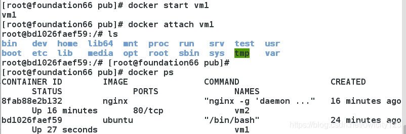 docker compos安装aria2_docker_02