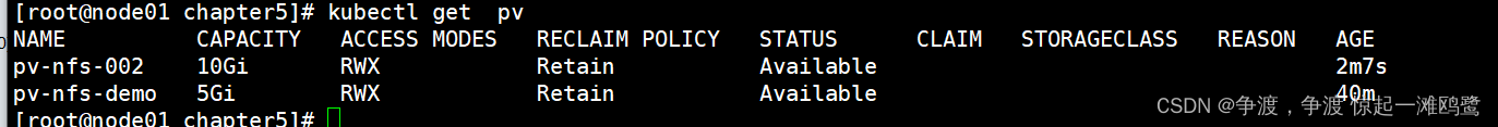 k8s nginx 挂载本地磁盘_名称空间_20