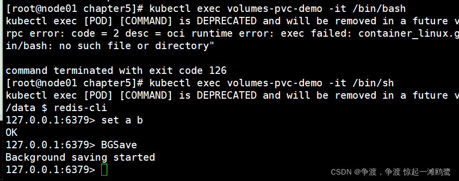 k8s nginx 挂载本地磁盘_容器_21