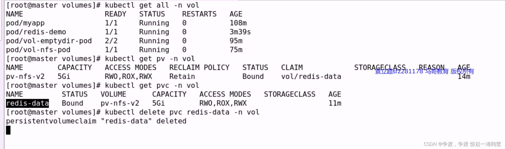 k8s nginx 挂载本地磁盘_kubernetes_23