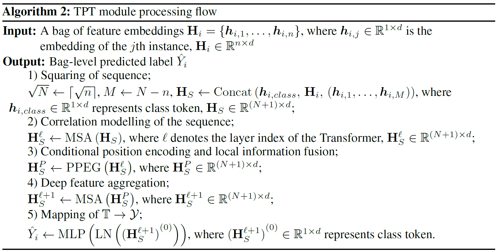 transformr语言_WSI_57