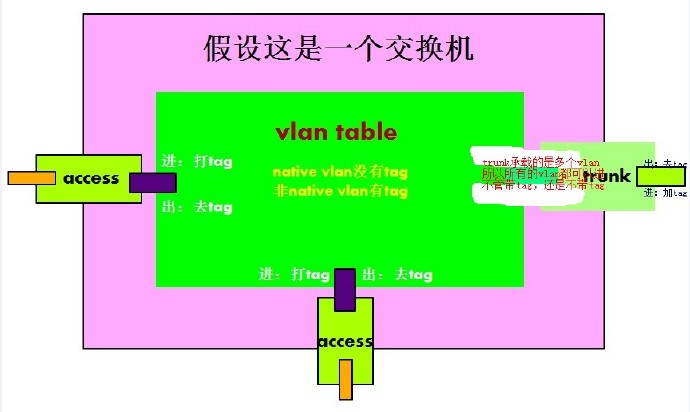 access和truck区别_封装_02