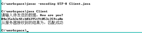 Java网络安全通信传输加密编程_System_05