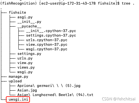 nginx 复合 条件_Nginx_06