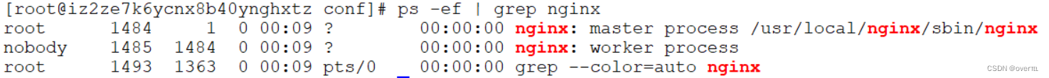 nginx启动work进程很多_nginx_31