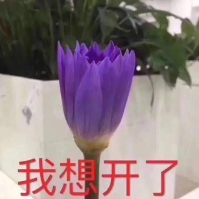 android如何舍去float类型小数点后面的数_c#float取小数点后两位_04