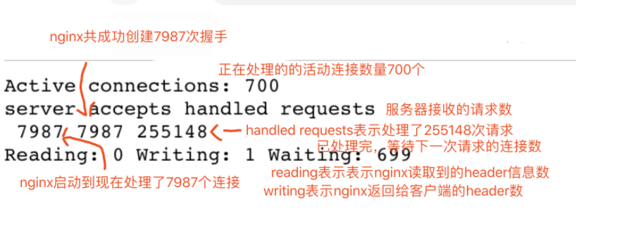 nginx中开放下载_nginx_03