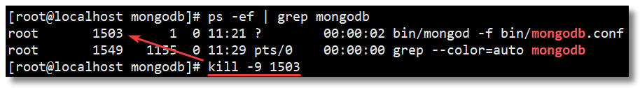 mongodb 保存数据格式设计_mongodb 保存数据格式设计_10