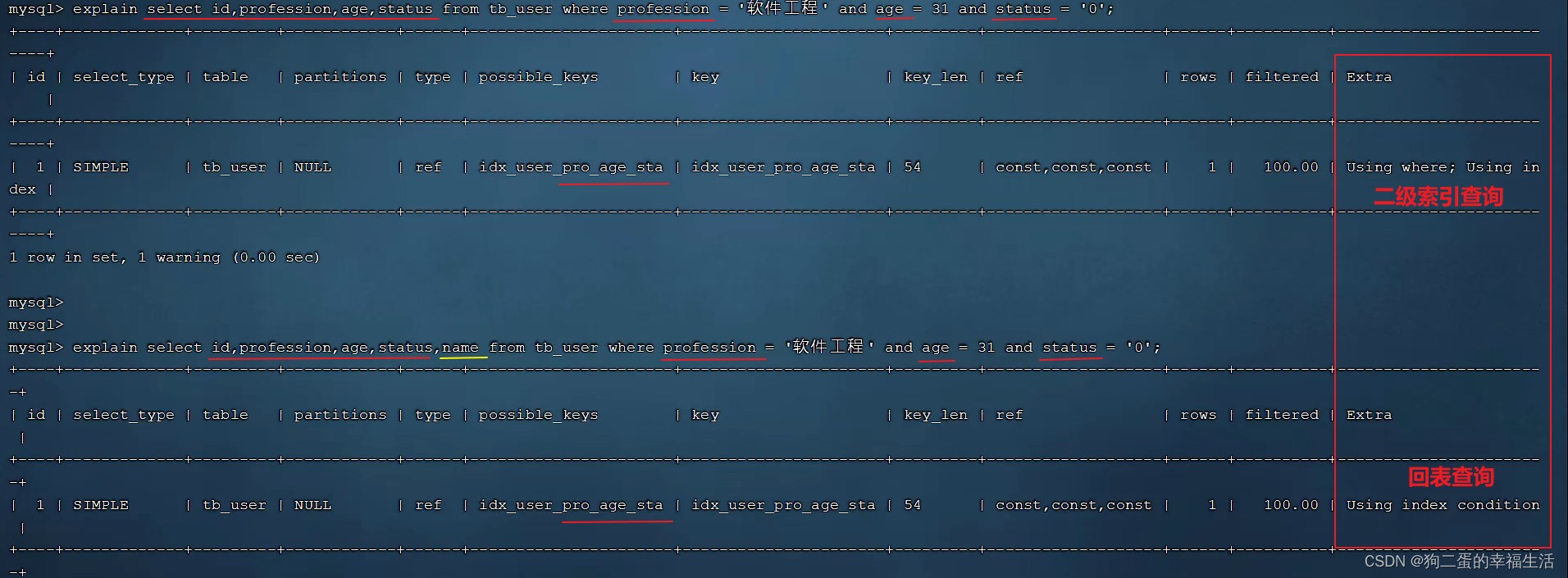 根据索引选字典_sql_14