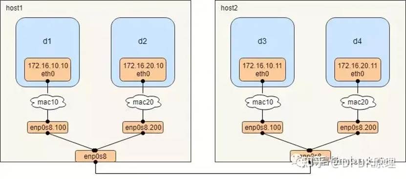 容器网络不通宿主机网络_docker_07