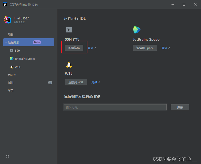 idea远程 debug docker_ide