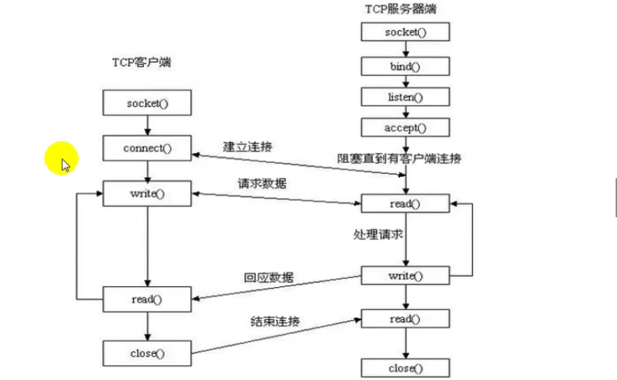 python socket 伪造 ip_套接字