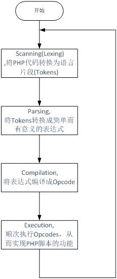 nginx UDP转发域名_php_02