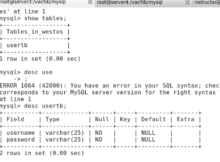 mariadb 复制表_服务器_04