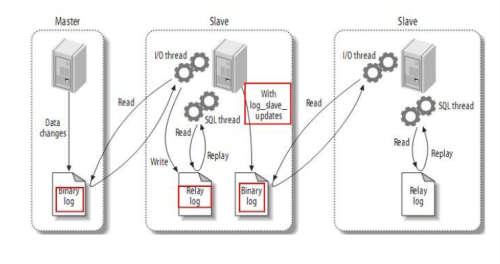 mariadb 复制表_mysql_06