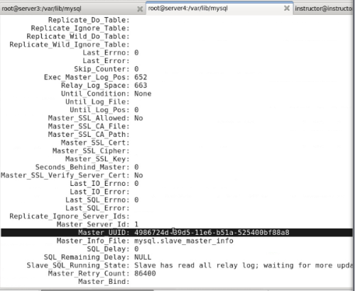 mariadb 复制表_大数据_10