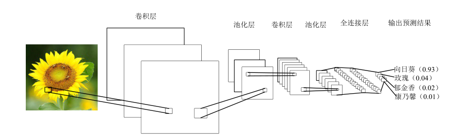 cnn花卉识别数据集_cnn花卉识别数据集_04