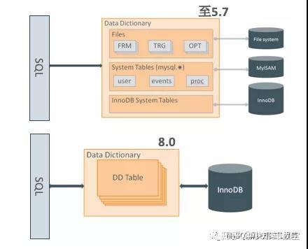 mysql 值是否在字典表中_最新执业范围字典表