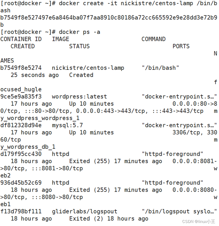 dockerfile 制作nginx 编译安装镜像_nginx_04