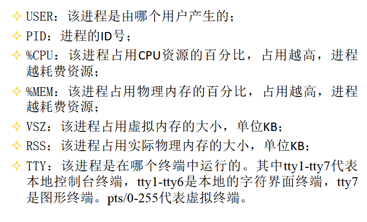 kill 之后重启java 进程还在_后台执行_03