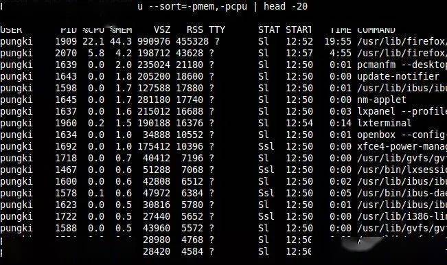 java 查看所有进程内存使用_升序_16