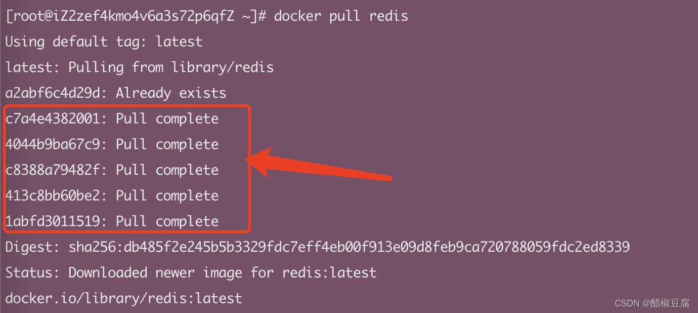 docker 必须依赖iptables吗_linux_09