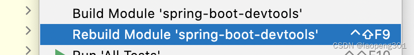 idea项目中没有springboot_spring boot_15