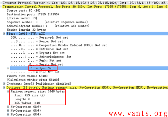 tcp 包大小 vxlan_TCP_06