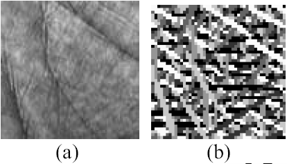 gabor滤波 pytorch_特征点_20