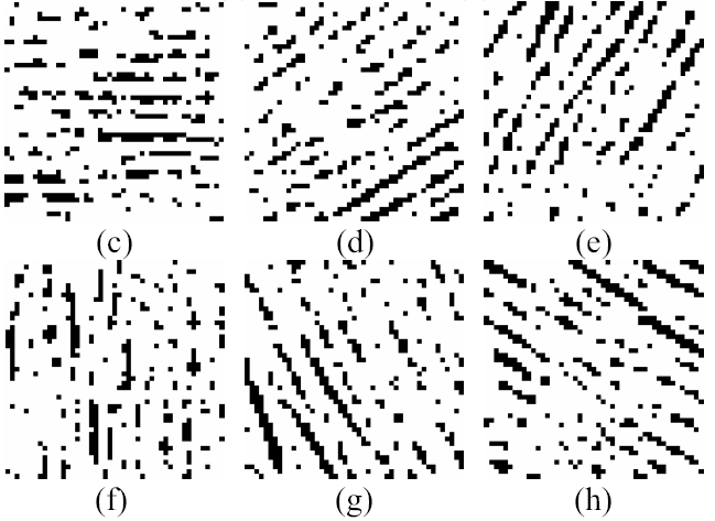 gabor滤波 pytorch_特征向量_21