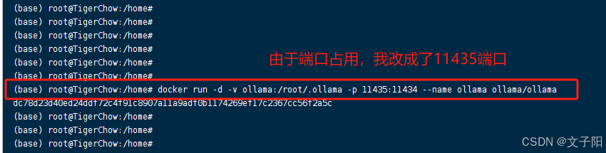 ollama 部署教程(window、linux)_linux_16