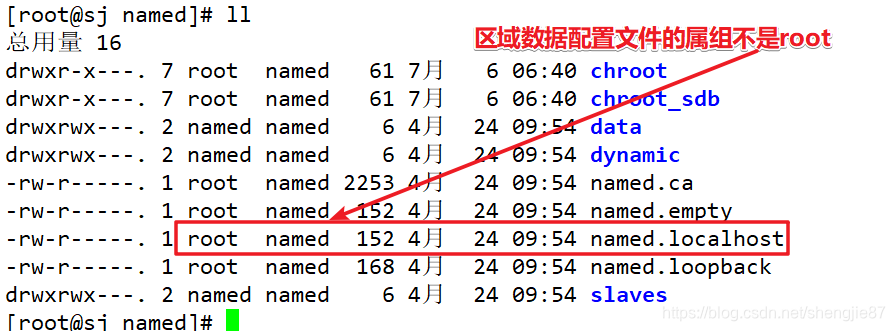 centos8安装备dns_dns搭建_08