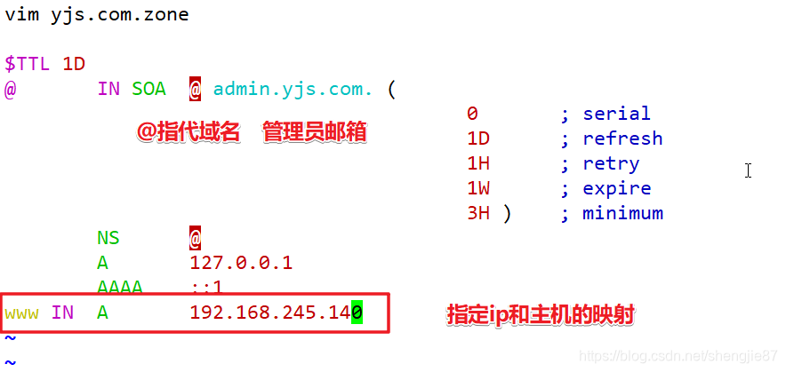 centos8安装备dns_dns_10