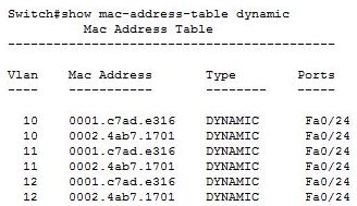 组播vlan 应用_IP_08