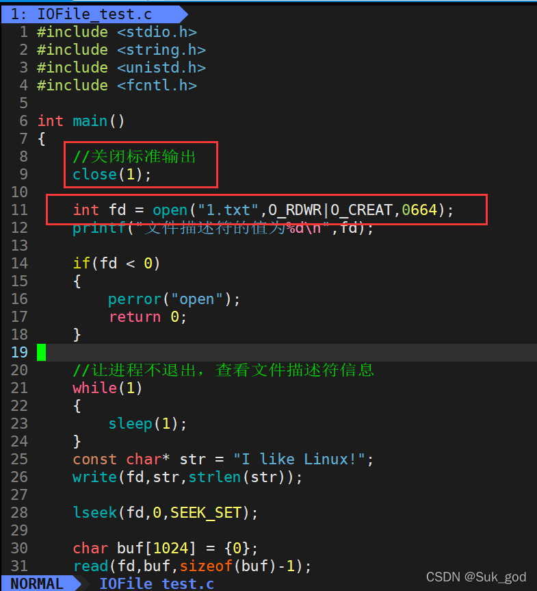 linux iostream 在哪个目录_文件描述符_18