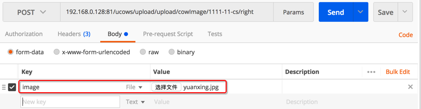 java postman上传文件解析_postman