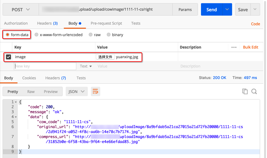 java postman上传文件解析_postman_11
