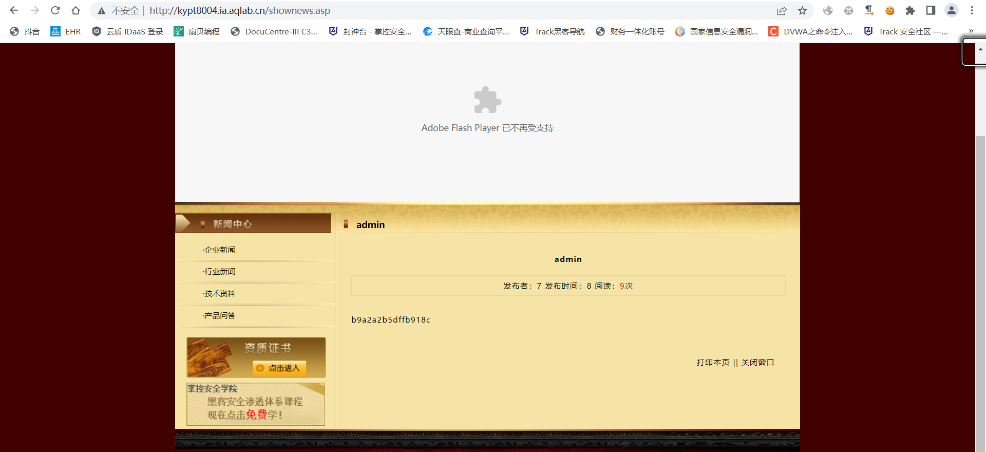 access 客户端发布_web安全_13