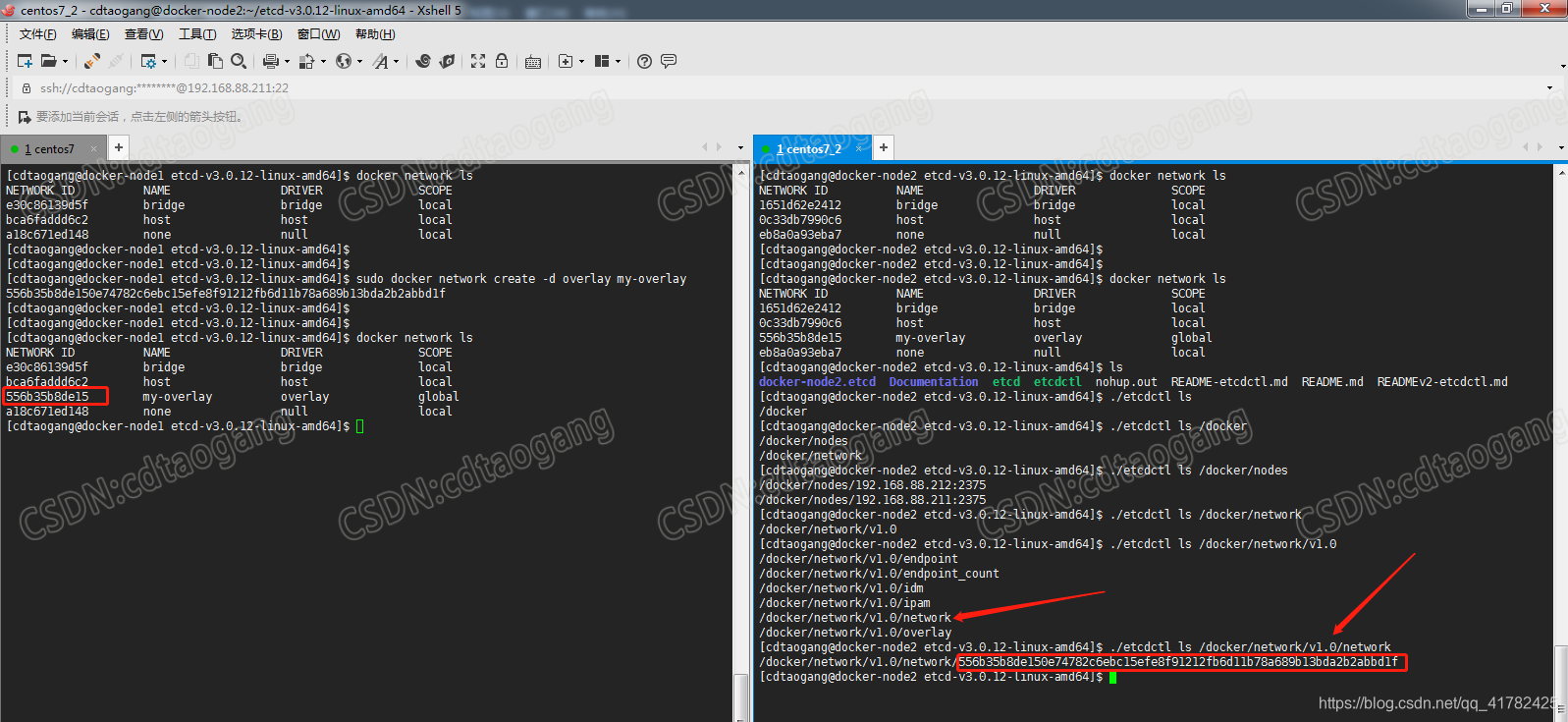 删除docker网桥重新创建指定ip_undelay_17