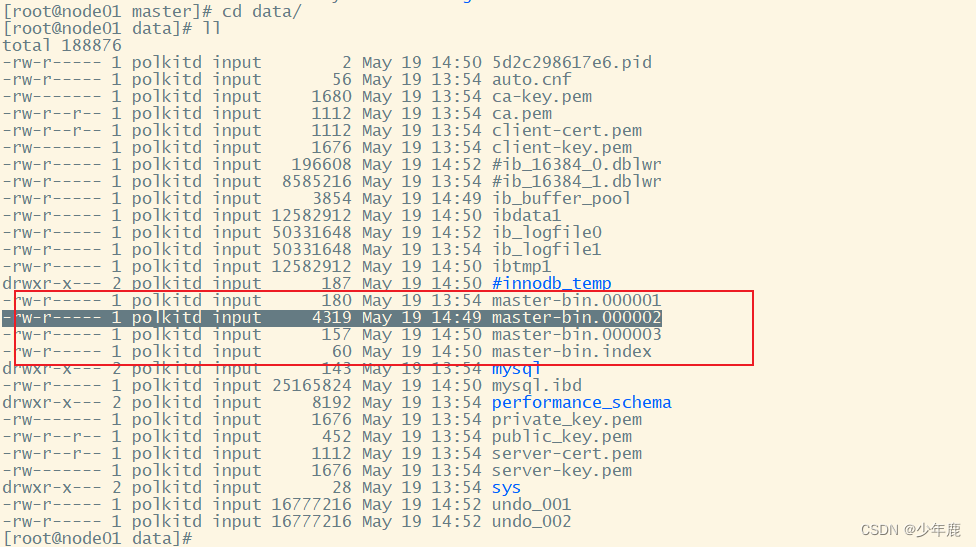 mysql可视化 mac_数据库_04