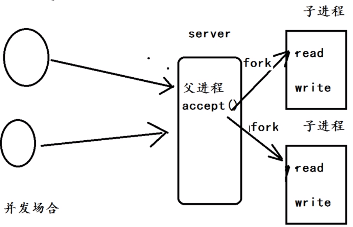 linux怎样关闭establish状态的连接_#include_02