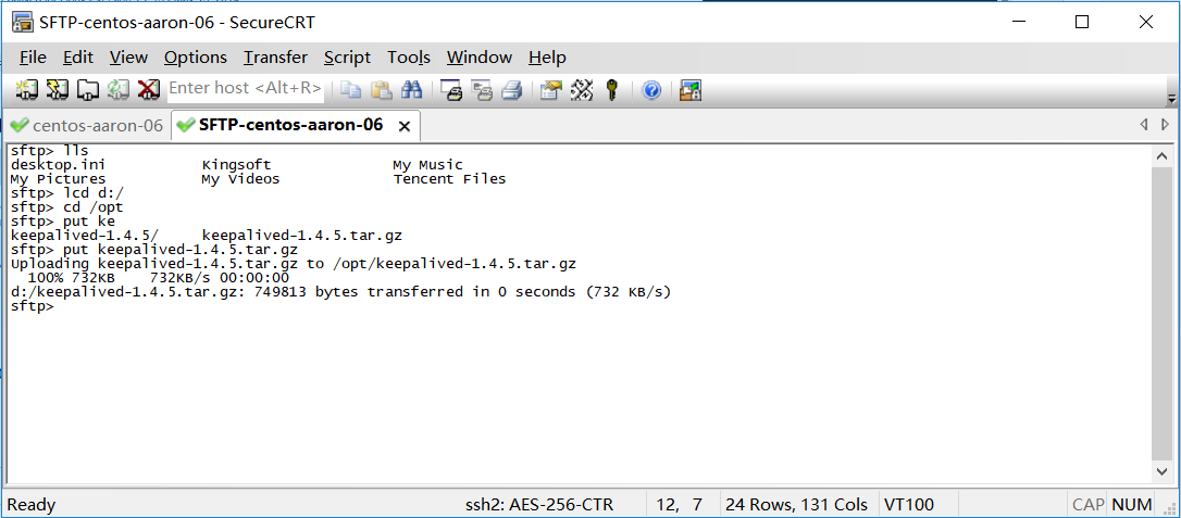 Keepalived Nginx 架构图_服务器_21