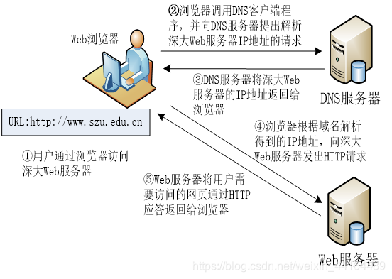 大两层网络架构的提出者是_服务器_20