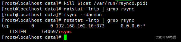 Rsync 下载文件夹_数据库_17